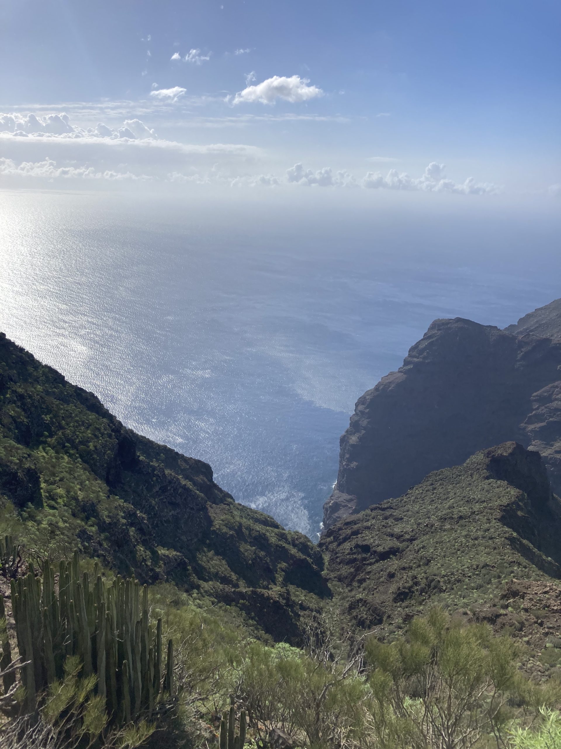 Hiking Masca Tenerife - Jean Michel Voyage