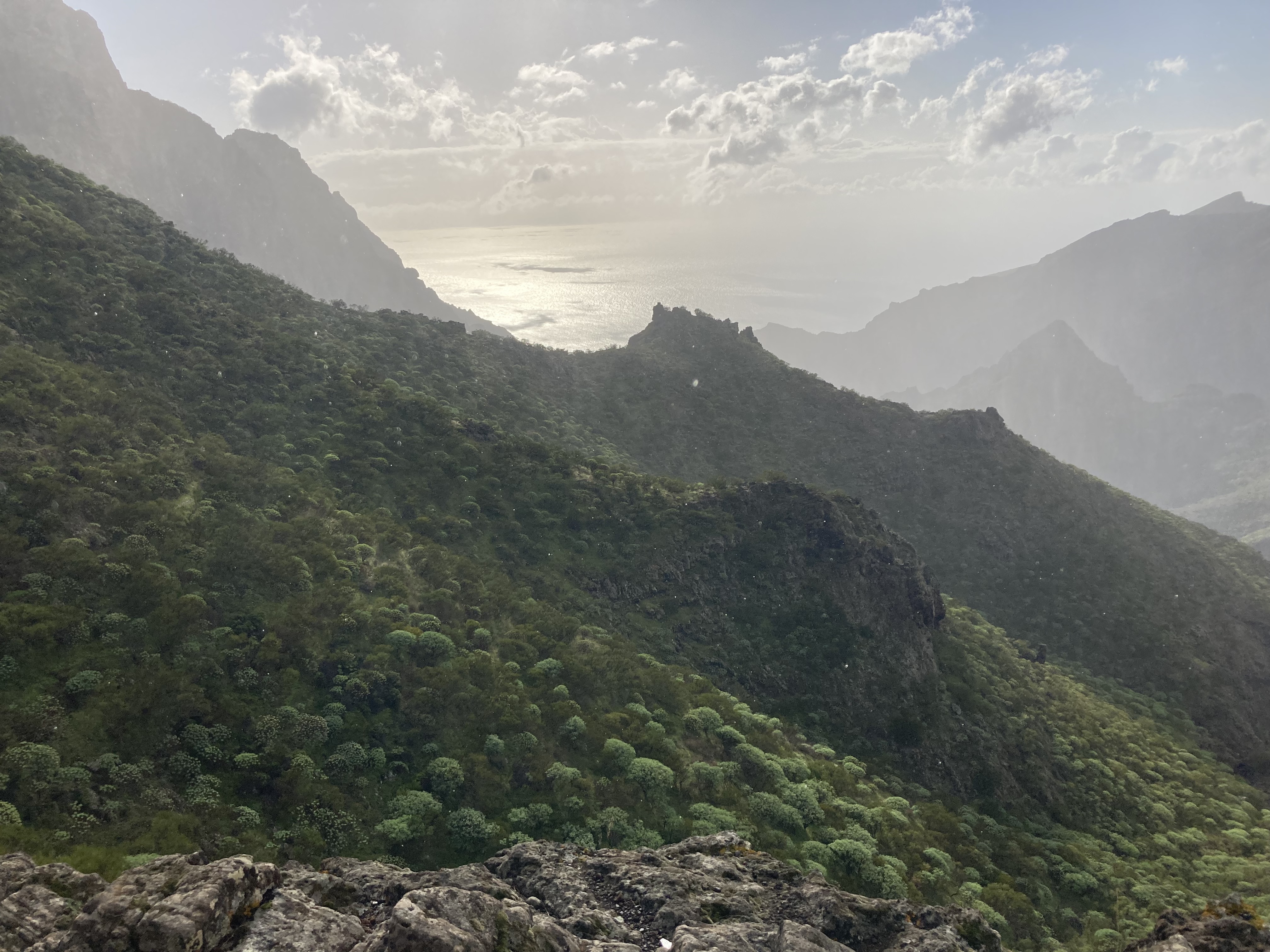 Hiking Masca Tenerife - Jean Michel Voyage