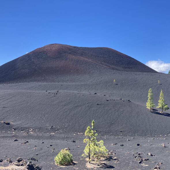 Chinyero Volcano Tenerife Jean Michel Voyage